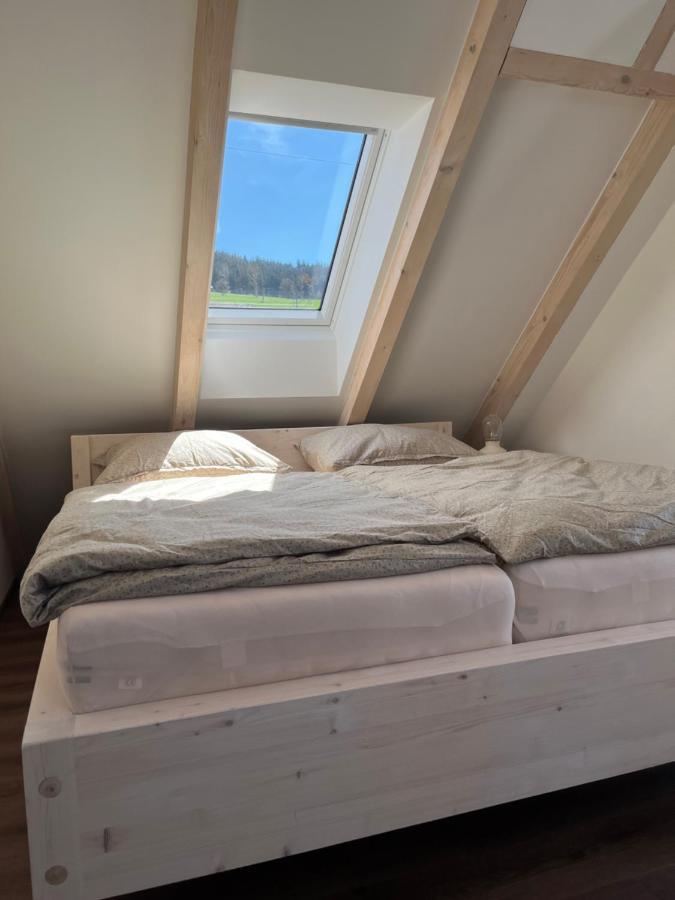 U Kralika, Apartman H, 3 Samostatne Loznice - Mezonet, Vlastni Parkovani, 50 Metru Od Vleku , Vysousece Bot V Lyzarne Dolní Morava Exteriör bild