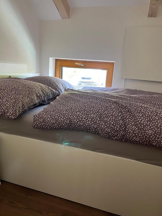 U Kralika, Apartman H, 3 Samostatne Loznice - Mezonet, Vlastni Parkovani, 50 Metru Od Vleku , Vysousece Bot V Lyzarne Dolní Morava Exteriör bild