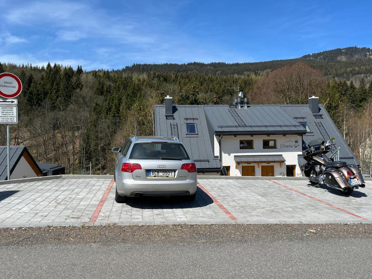 U Kralika, Apartman H, 3 Samostatne Loznice - Mezonet, Vlastni Parkovani, 50 Metru Od Vleku , Vysousece Bot V Lyzarne Dolní Morava Exteriör bild